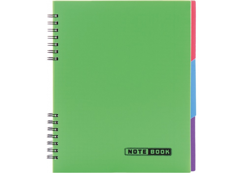 Блокнот пружина В5 120 аркушів клітинка пластик " Economix" з розділювачем E20225