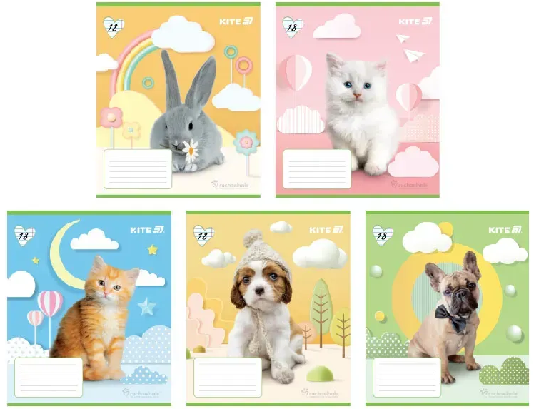 Зошит 18 аркушів лінія  " Kite" софт тач + УФ лак Rachael Hale R25-237