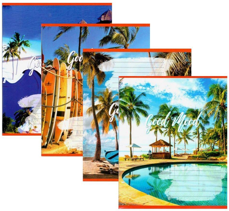 Зошит 96 аркушів клітинка ТВ "Copybook" ТА51705