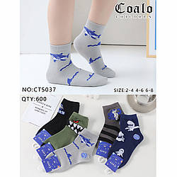 Шкарпетки з Акулами для хлопчика Розмір: 6-8 років (30112-3)