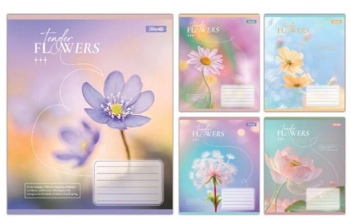 Зошит 24 аркушів лінія 1В Tender Flowers 768077