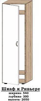 Шафа Рів'єра 540х300 h-2050мм Алекса-СМ, фото 4