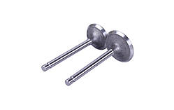 Клапани, к-т 2 шт. – 173D YBX