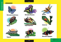 ПЛАКАТ Комахи