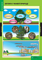 ПЛАКАТ Зв'язки у живій природі