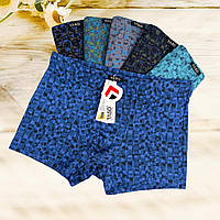 Чоловічі труси-шорти Taso 1 шт (модал, з малюнком, розмір XL 2XL 3XL 4XL)