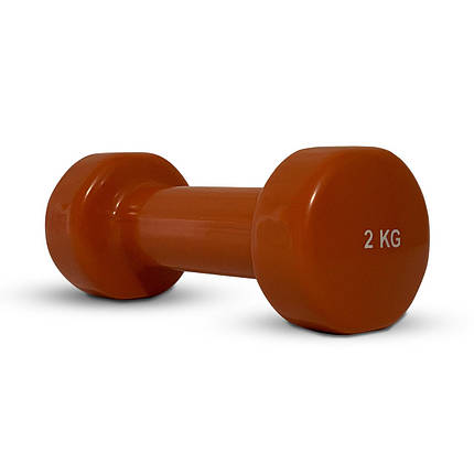 Гантель вінілова для фітнесу гантель спортивна нерозбірна фітнес гантель вініл Stein 2 кг коричнева, фото 2