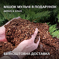 Кора сосновая, фракция 0-1 см - МУЛЬЧА