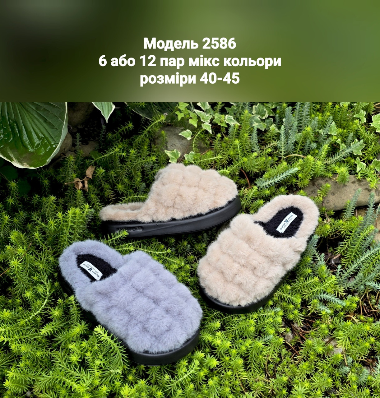 Чоловічі тапочки