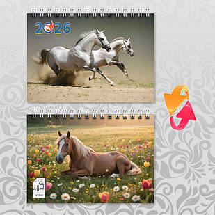 Блокнот А6 пружина 48 л. клітинка 2026 рік Коня