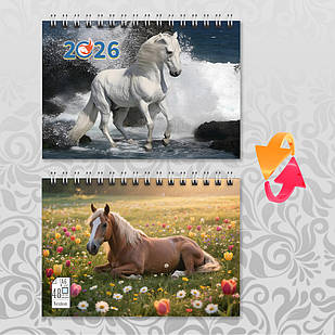 Блокнот А6 пружина 48 л. клітинка 2026 рік Коня 003