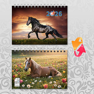 Блокнот А6 пружина 48 л. клітинка 2026 рік Коня 004