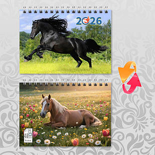Блокнот А6 пружина 48 л. клітинка 2026 рік Коня 005