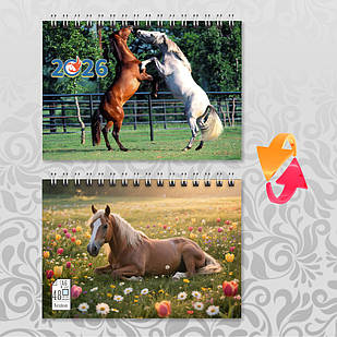 Блокнот А6 пружина 48 л. клітинка 2026 рік Коня 006