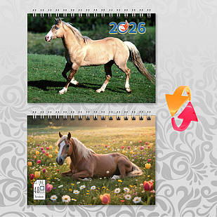 Блокнот А6 пружина 48 л. клітинка 2026 рік Коня 007