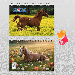 Блокнот А6 пружина 48 л. клітинка 2026 рік Коня 008