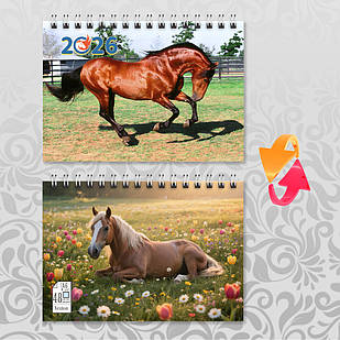 Блокнот А6 пружина 48 л. клітинка 2026 рік Коня 009