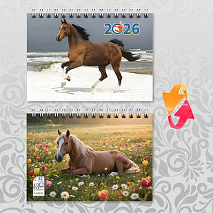 Блокнот А6 пружина 48 л. клітинка 2026 рік Коня 010