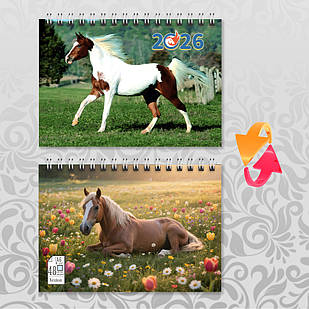 Блокнот А6 пружина 48 л. клітинка 2026 рік Коня 011