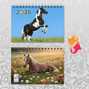 Блокнот А6 пружина 48 л. клітинка 2026 рік Коня 012