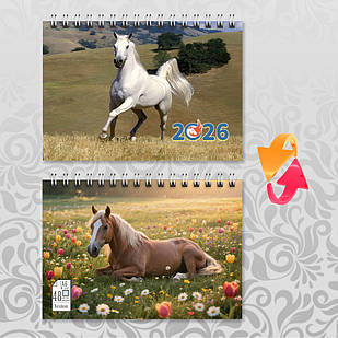 Блокнот А6 пружина 48 л. клітинка 2026 рік Коня 013