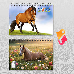 Блокнот А6 пружина 48 л. клітинка 2026 рік Коня 014