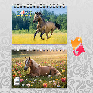 Блокнот А6 пружина 48 л. клітинка 2026 рік Коня 015