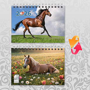 Блокнот А6 пружина 48 л. клітинка 2026 рік Коня 016