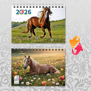 Блокнот А6 пружина 48 л. клітинка 2026 рік Коня 017