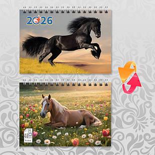 Блокнот А6 пружина 48 л. клітинка 2026 рік Коня 018