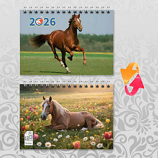 Блокнот А6 пружина 48 л. клітинка 2026 рік Коня 020