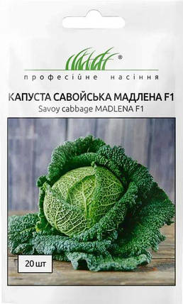 Насіння капусти савойська Мадлена F1 20шт ТМ Професійне насіння, фото 1