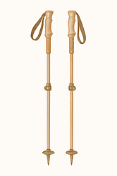 Палиці для ходи