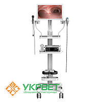 Ветеринарна ендоскопічна система EndoVet-500