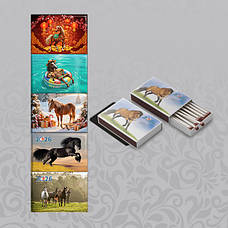 Набір сірників на магніті 35х50 мм