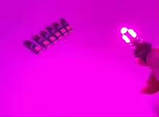 Фіолетовий Pink Purple T10 W5W обманка LED 10 SMD Автолампа світлодіодна безцокольна, фото 2