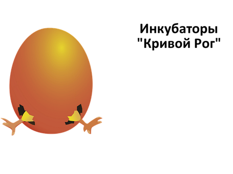 Інкубатори Кривий Ріг