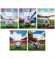 Тетрадь школьная ученическая 36 листов клетка 1 Вересня REAL SPORT Тетради с плотной цветной обложкой