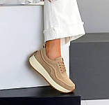 Кросівки жіночі на потовщеній підошві шкіряні 36 37 38 39 40 41, фото 2