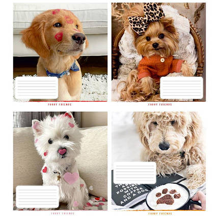 Зошит 12_арк. клітинка "Поліграфіст" / Пухнастий друг, фото 1