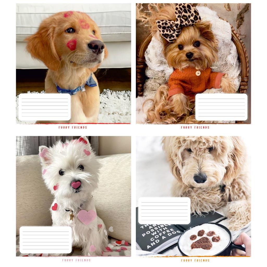 Зошит 12_арк. клітинка "Поліграфіст" / Пухнастий друг