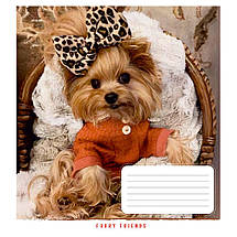 Зошит 12_арк. клітинка "Поліграфіст" / Пухнастий друг, фото 5