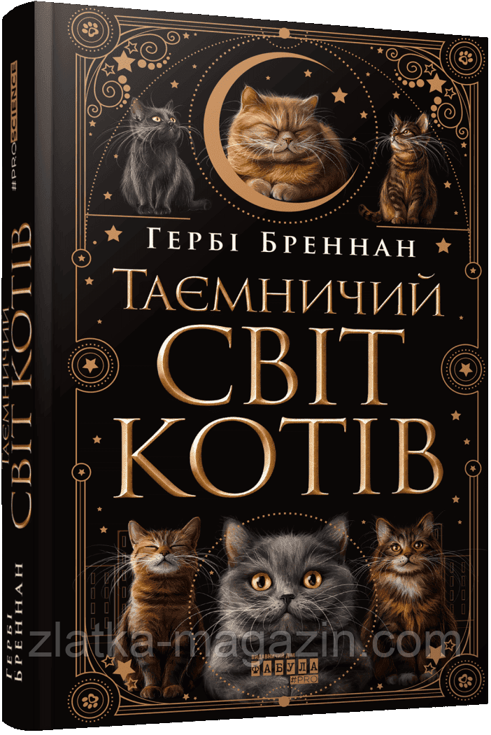Таємничий світ котів