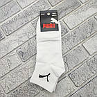Шкарпетки чоловічі середні весна/осінь р.41-45 асорті спорт Р з білим ТУРЕЧЧИНА 30039538, фото 2