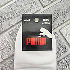 Шкарпетки чоловічі середні весна/осінь р.41-45 асорті спорт Р з білим ТУРЕЧЧИНА 30039538, фото 3