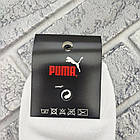 Шкарпетки чоловічі середні весна/осінь р.41-45 асорті спорт Р з білим ТУРЕЧЧИНА 30039538, фото 4