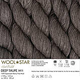 Gazzal WOOL STAR (Газзал Вул Стар) №3805 (Пряжа мериносова вовна нитки для в'язання), фото 2
