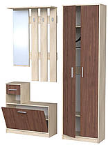 Передпокій Модерн шафа 600х300 h-2050мм    Алекса-СМ, фото 2