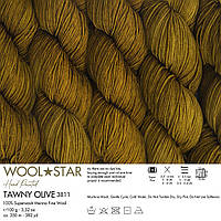 Gazzal WOOL STAR (Газзал Вул Стар) №3811 (Пряжа мериносова вовна нитки для в'язання)