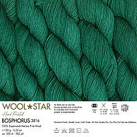 Gazzal WOOL STAR (Газзал Вул Стар) №3816 зелений (Пряжа мериносова вовна нитки для в'язання)